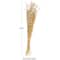 41" Cream Dried Plant Floral Bouquet Natural Foliage
